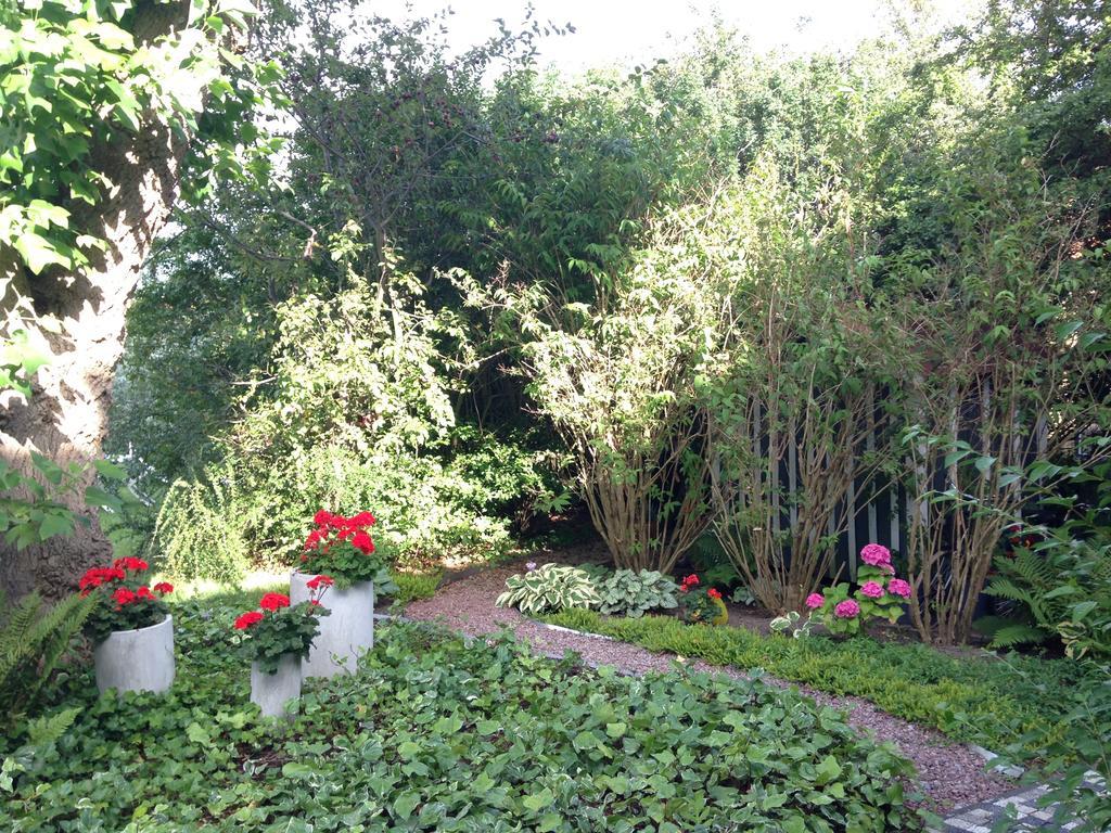 Solrosen I Simrishamn - Oesterlen Extérieur photo