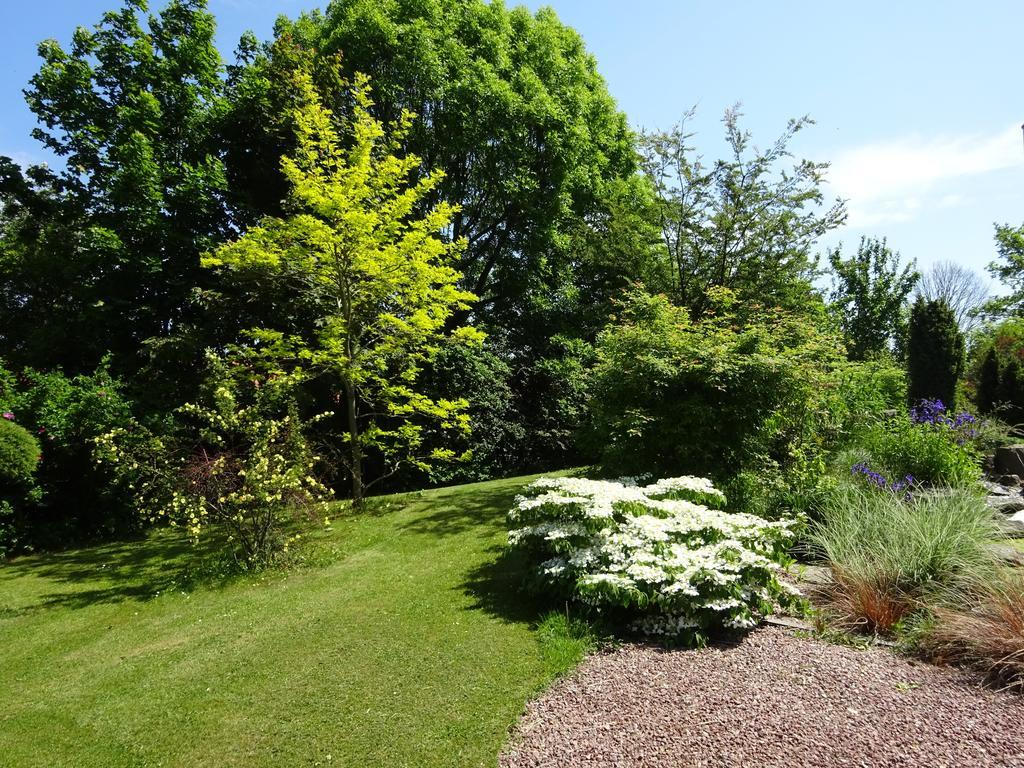 Solrosen I Simrishamn - Oesterlen Extérieur photo